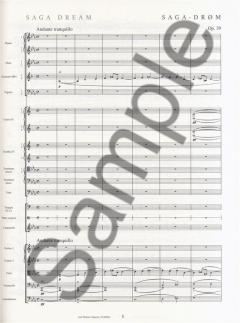 Orchestral Works 2 von Carl Nielsen 