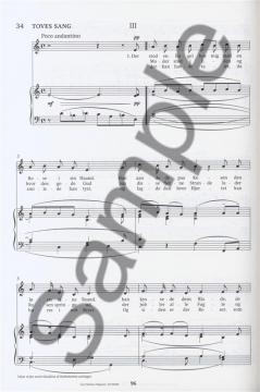 Songs 1 (Nos. 1-144) von Carl Nielsen 