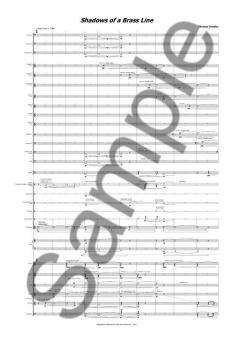 Shadows of A Brass Line von Thomas Simaku 