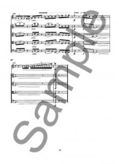 Quintet For Clarinet in Bb And String Quartet (Version B) (Anders Koppel) 