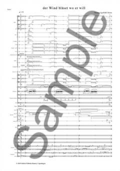 Der Wind Blaset Wo Er Will von Thomas Agerfeldt Olesen 