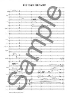 Der Vogel der Nacht von Britta Byström 