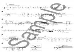 The Argonaut For Violin Solo von Henrik Hellstenius im Alle Noten Shop kaufen