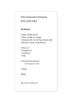 Incontri von Pelle Gudmundsen-Holmgreen 