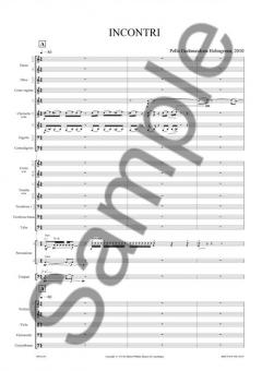 Incontri von Pelle Gudmundsen-Holmgreen 