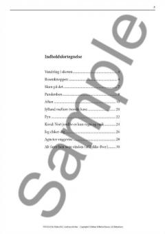 H.C. Andersen For Kor (Bo Holten) 