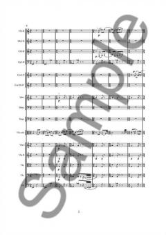 Concerto for Viola and Orchestra von Anders Koppel im Alle Noten Shop kaufen (Partitur)