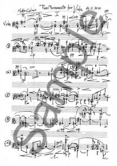Two Movements For Viola von Anders Nordentoft im Alle Noten Shop kaufen
