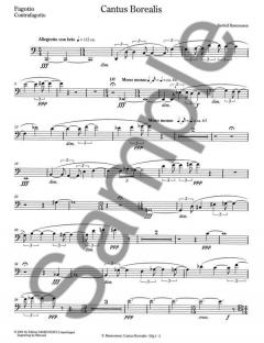 Cantus Borealis For Wind Quintet (Sunleif Rasmussen) 