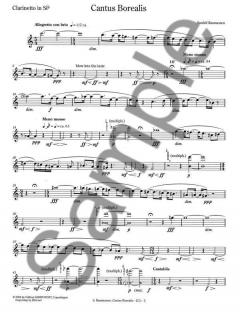 Cantus Borealis For Wind Quintet (Sunleif Rasmussen) 