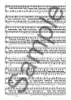 Piano Concerto for Piano Solo and Small Orchestra von Anders Brodsgaard 