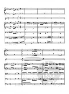 Violoncello-Konzert Hob.VIIb:2 von Joseph Haydn 