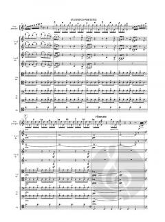 Las Cuatro Estaciones Portenas von Astor Piazzolla 