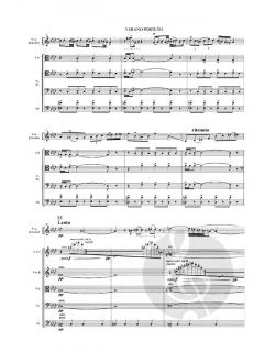 Las Cuatro Estaciones Portenas von Astor Piazzolla 