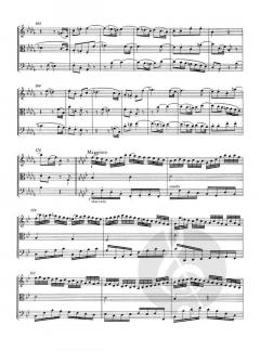 Trios für Streicher von Wolfgang Amadeus Mozart im Alle Noten Shop kaufen