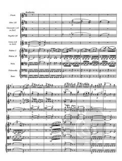 Sinfonie Nr. 1 D 82 von Franz Schubert 