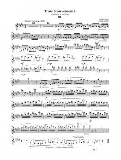 Erwachen zur Vollkommenheit von Frantisek Malotin 