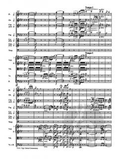 Die 9 Symphonien von Ludwig van Beethoven 