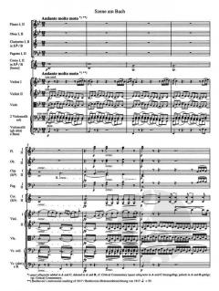 Die 9 Symphonien von Ludwig van Beethoven 