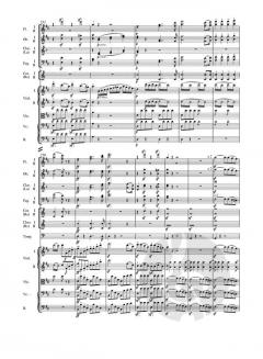 Symphonie Nr. 2 op. 36 von Ludwig van Beethoven 