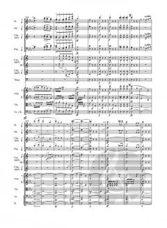 Symphonie Nr. 3 op. 55 von Ludwig van Beethoven 
