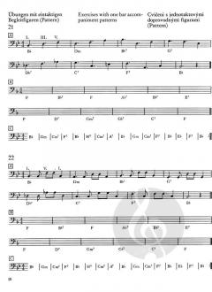 Die Bassgitarre III (Wieland Ziegenrücker) 