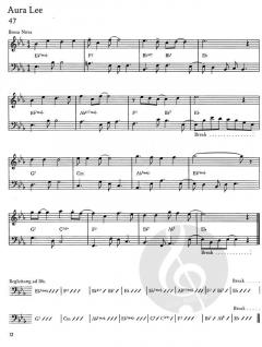 Die Bassgitarre III (Wieland Ziegenrücker) 