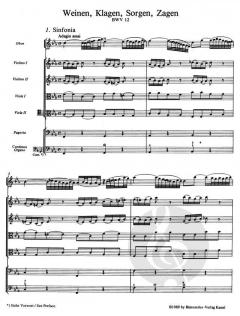 Weinen, Klagen, Sorgen, Zagen (J.S. Bach) 