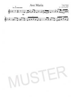 Solo Album Vol. 1 für Horn und Klavier im Alle Noten Shop kaufen