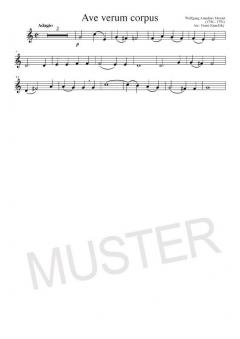 Solo Album Vol. 1 für Horn und Klavier im Alle Noten Shop kaufen