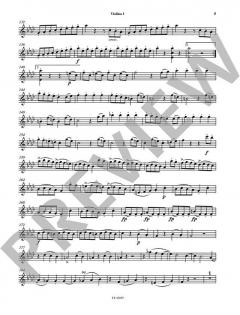 Streichquartette Nr. 7-12 von Gaetano Donizetti im Alle Noten Shop kaufen (Stimmensatz)