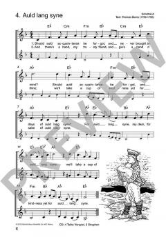 Die schönsten Folksongs 