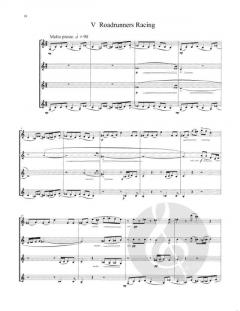 Birdwatching A Fancier's Handbook von M. Henry 