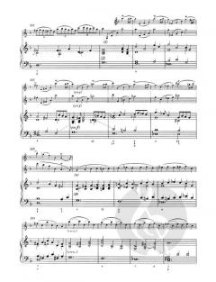 Chaconne für Violine und Basso continuo von Tommaso Vitali im Alle Noten Shop kaufen