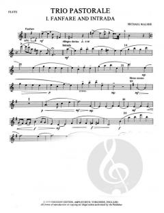 Trio Pastorale Flute, Oboe & Clarinet von Michael Walshe für Holzbläser Trio im Alle Noten Shop kaufen