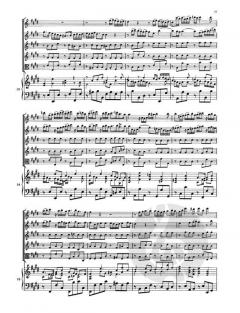 Konzert für Altblockflöte, Flöte, Streicher und Basso continuo (Georg Philipp Telemann) 