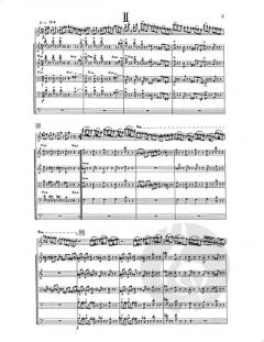 Concertino For Flute & Strings (Alan Ridout) 