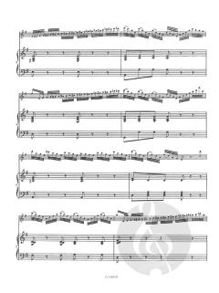 Nel Cor Piu Opus 4 von Theobald Böhm 