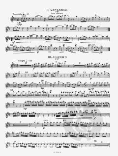 Concerto en Re Majeur Opus 10 No. 3 von Antonio Vivaldi 