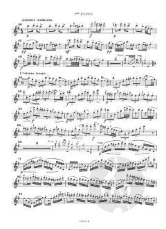 Duettino Hongrois Opus 36 von Franz Doppler 