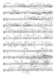 Concerto en ré Mineur von Franz Doppler 