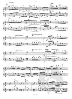 Concerto en ré Mineur von Franz Doppler 