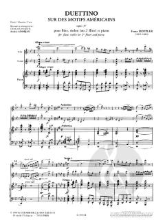 Duettino sur des Motifs Americains Opus 37 von Franz Doppler 