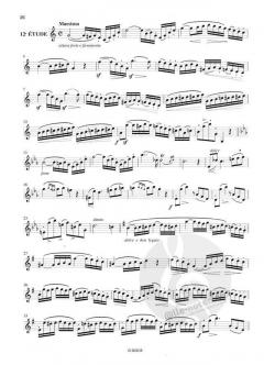 12 Grandes Etudes Brillantes op. 43 von Jacques Francois Gallay für Horn - BILL5630