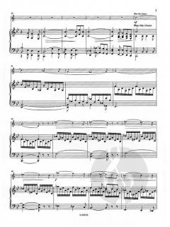 Andante et Allegro von Ernest Chausson 