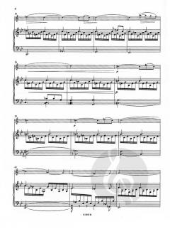 Andante et Allegro von Ernest Chausson 