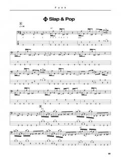 Dictionary Of Bass Grooves (Sean Malone) 