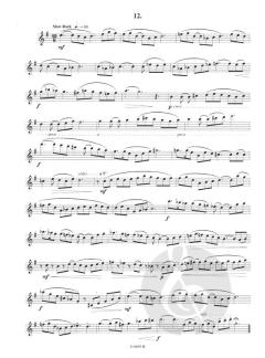 Saxo Plaisir Vol. 2 von Jérôme Naulais 