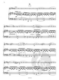 Sonate Arpeggione en la Mineur D 821 von Franz Schubert 