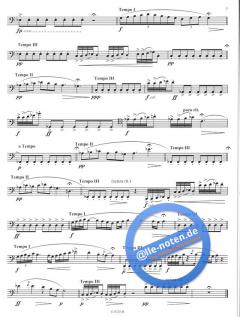 16 Etudes Singulieres (Anthony Girard) 